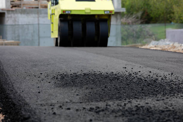 Best Driveway Pavers Near Me  in Grandwood Park, IL