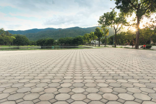 Professional Driveway Pavers in Grandwood Park, IL