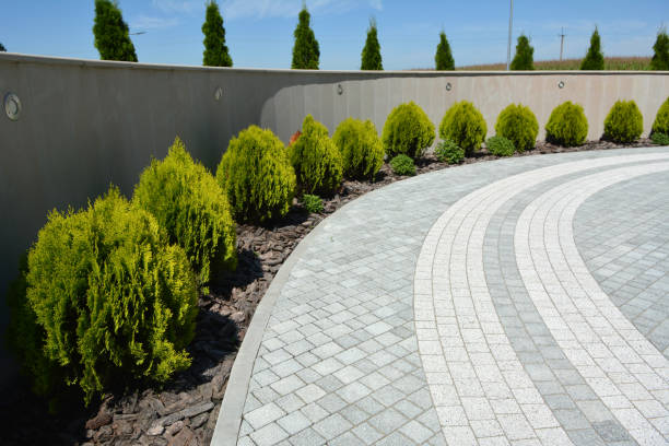 Driveway Repair Near Me in Grandwood Park, IL